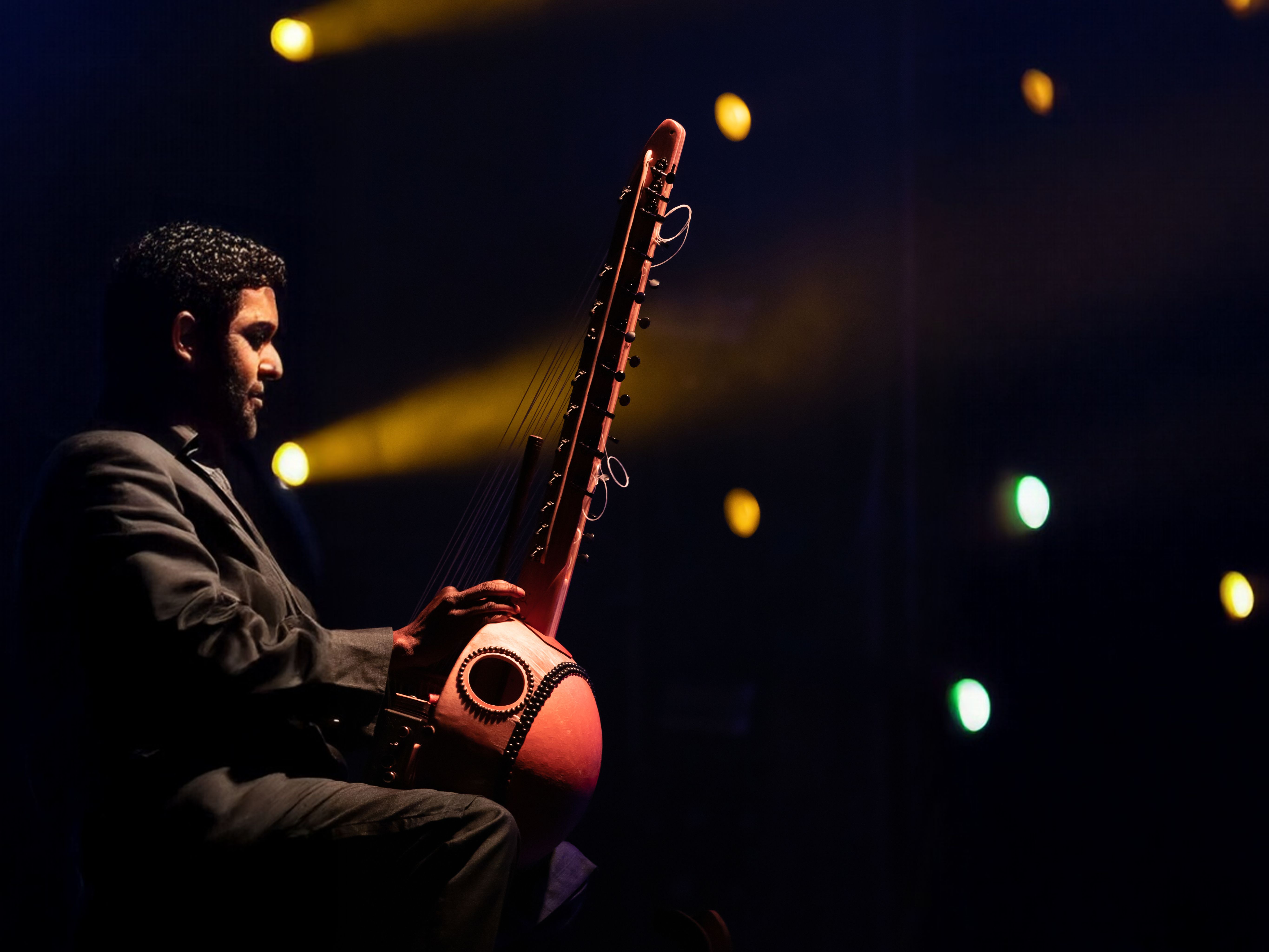 Musician / Instrumentalist